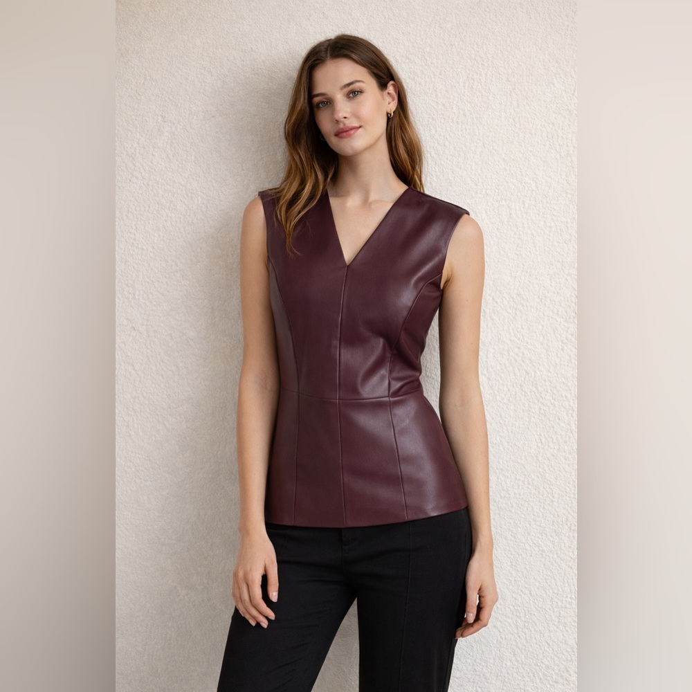 Ann Taylor Dark Burgundy V-Neck Blouse